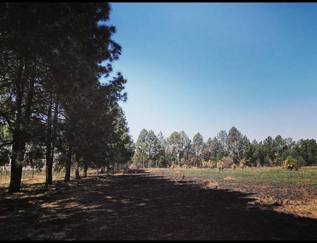 LAND FOR SALE IN WALKERVILLE CENTRAL